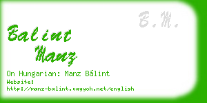 balint manz business card